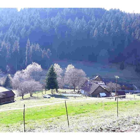 Ferienhaus Schwarzwald Seewald Erzgrube Badesee 100% Natur Luaran gambar