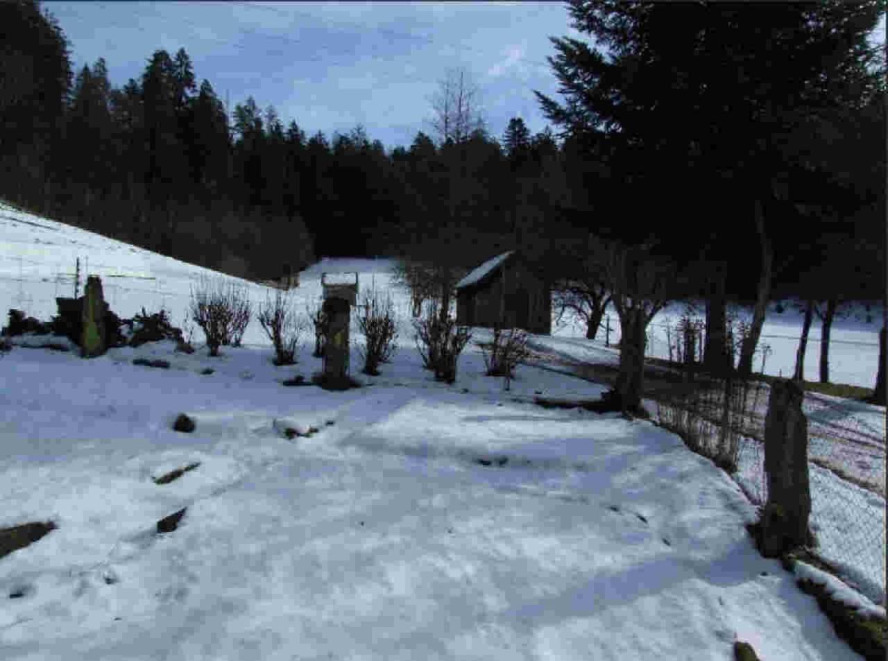 Ferienhaus Schwarzwald Seewald Erzgrube Badesee 100% Natur Luaran gambar