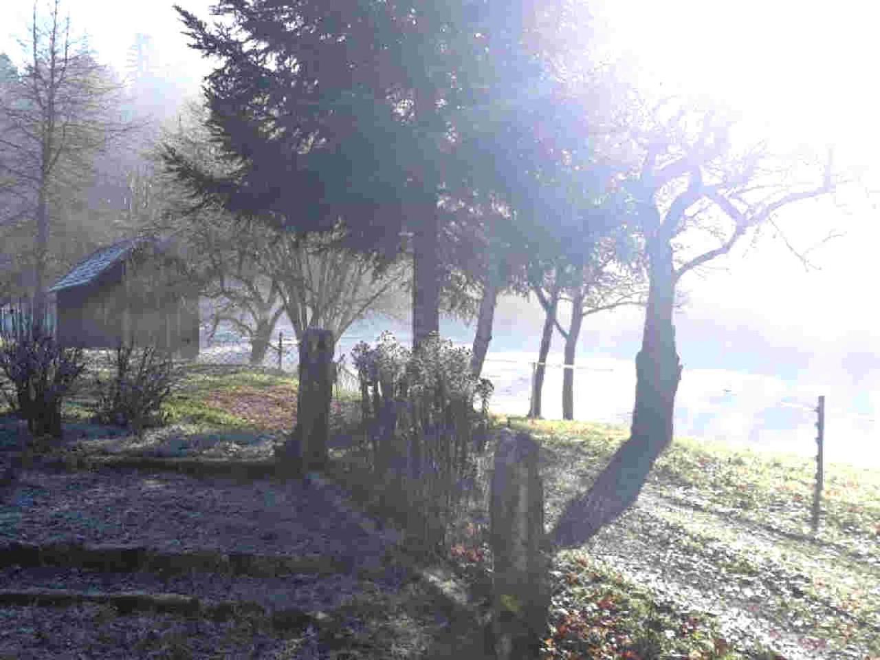 Ferienhaus Schwarzwald Seewald Erzgrube Badesee 100% Natur Luaran gambar